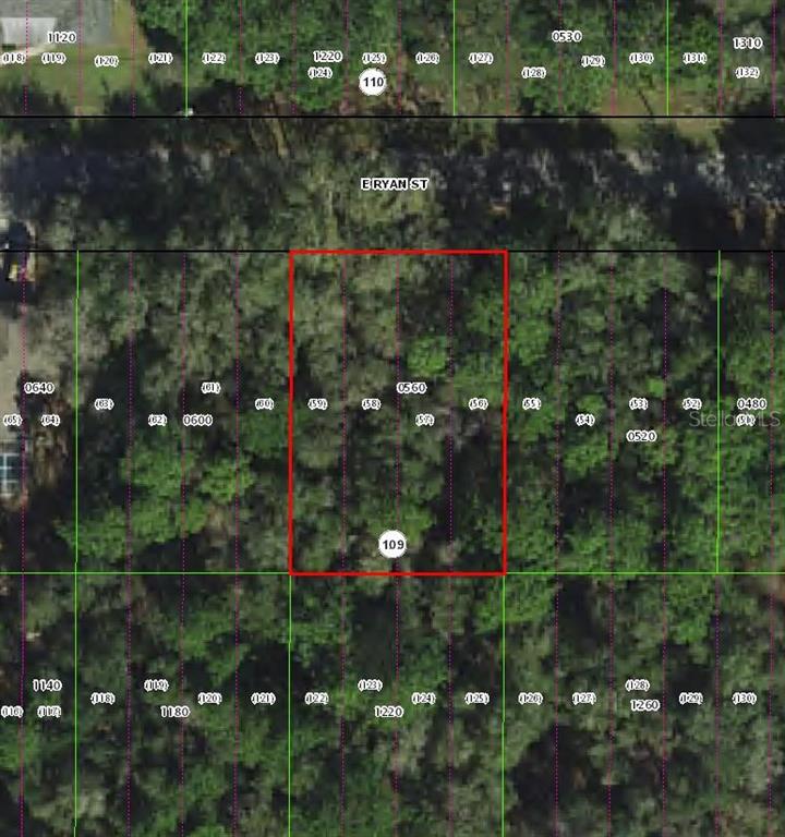 This is an aerial map showing a rectangular parcel of land outlined in red — 3958 E RYAN STREET, INVERNESS, FL