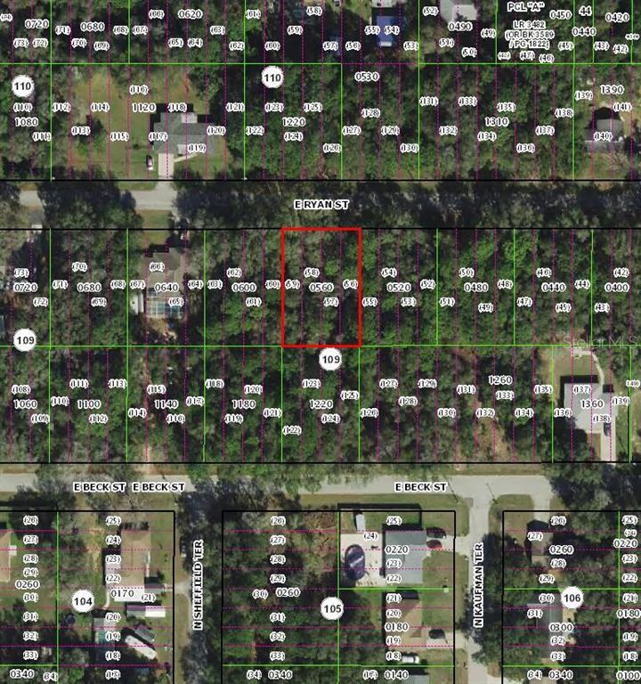 This is a property tax map showing land parcels and street names — 3958 E RYAN STREET, INVERNESS, FL