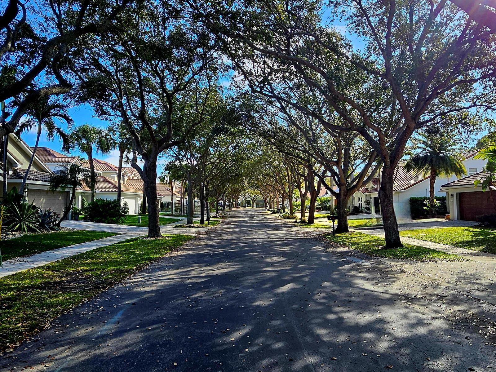 A tree-lined residential street with houses on both sides under a clear blue sky — 1105 Anchor Point, Delray Beach FL 33444, DELRAY BEACH, FL