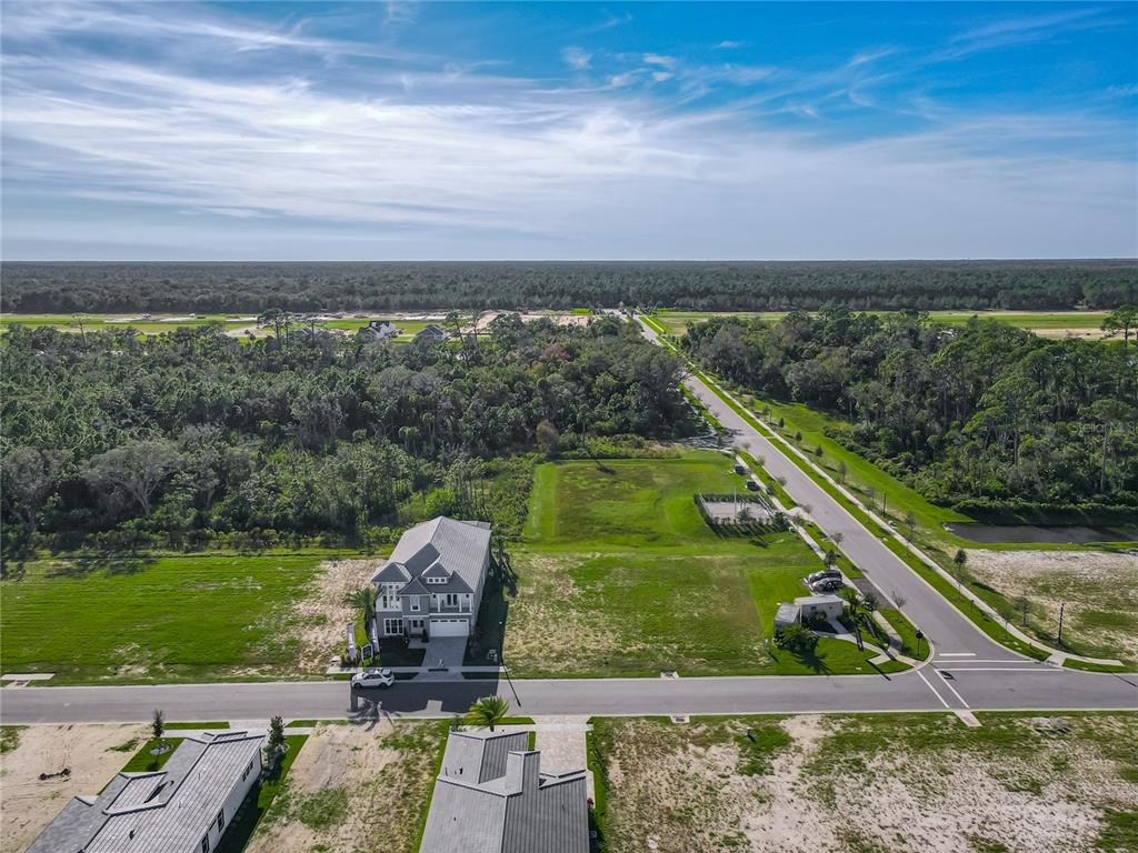 An aerial view shows a single-family home situated on a large lot near a road — 81 CORONADO ROAD, FLAGLER BEACH, FL