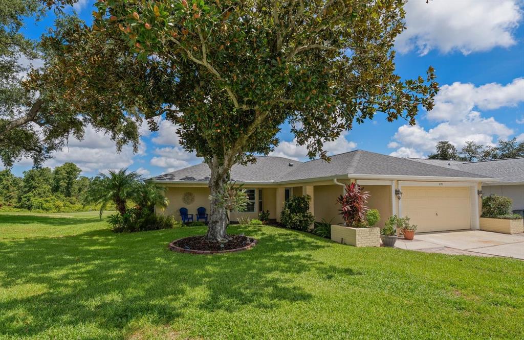 A single-story house with a large tree in the front yard and a grassy lawn — 3495 W LINKS COURT, PALM HARBOR, FL