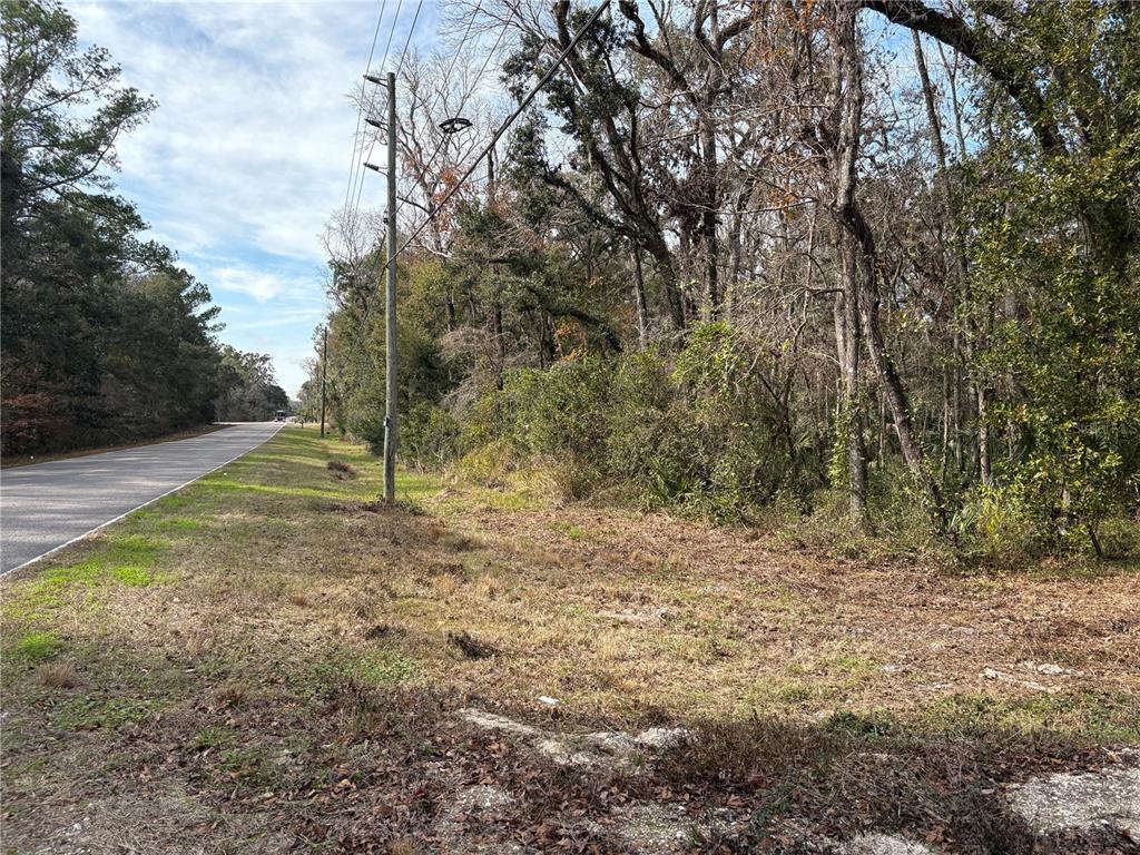 A paved road runs alongside a wooded lot with a utility pole in the foreground — LAKE LINDSEY ROAD, BROOKSVILLE, FL