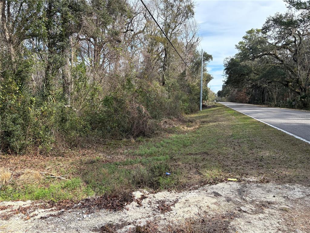 A paved road runs alongside a wooded lot with a sandy foreground — LAKE LINDSEY ROAD, BROOKSVILLE, FL