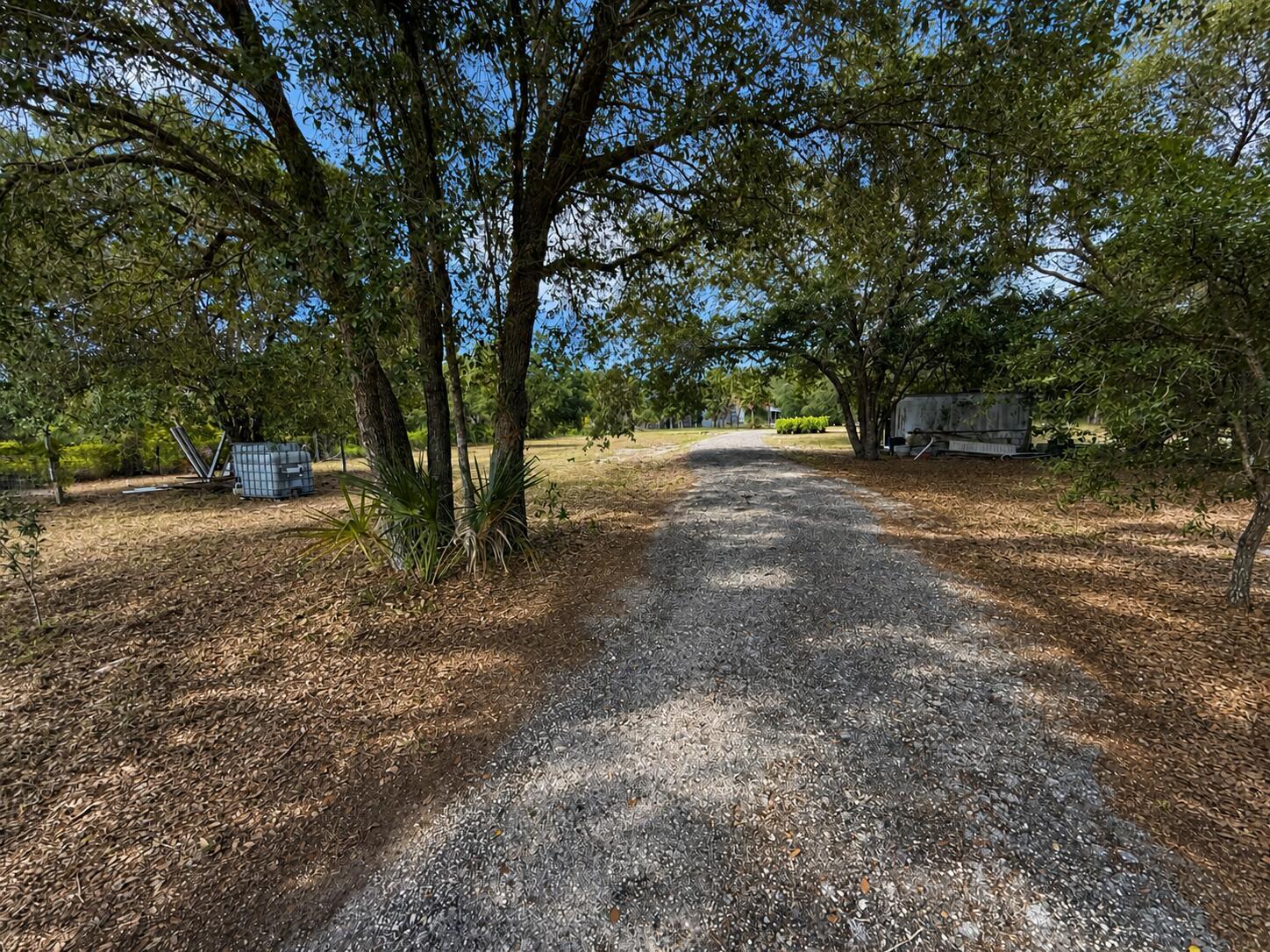 A gravel driveway leads through a wooded area toward a house in the distance — 825 S Verda Street, Clewiston FL 33440, CLEWISTON, FL