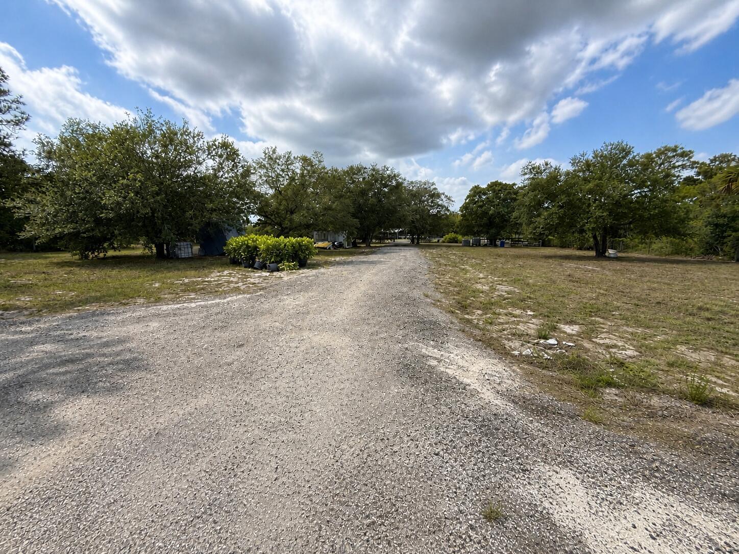 A gravel driveway leads through a grassy, tree-lined lot under a cloudy blue sky — 825 S Verda Street, Clewiston FL 33440, CLEWISTON, FL