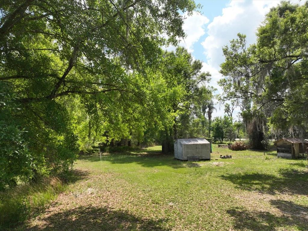 A grassy backyard features two small storage sheds surrounded by mature trees — 1415 N WABASH AVENUE, LAKELAND, FL
