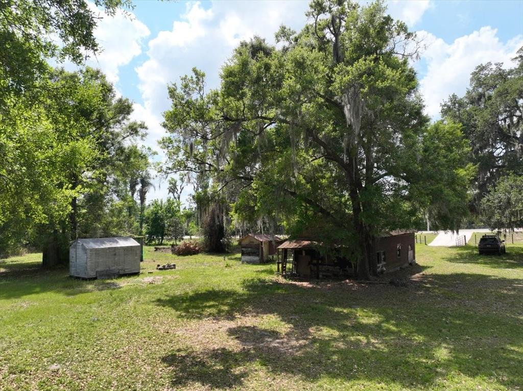 A grassy yard features a small shed, a rustic cabin, and a large oak tree — 1415 N WABASH AVENUE, LAKELAND, FL