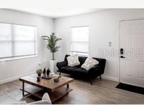 A living room features a black sofa, a wooden coffee table, and a potted plant — 4318 BERKLEY DRIVE, TAMPA, FL