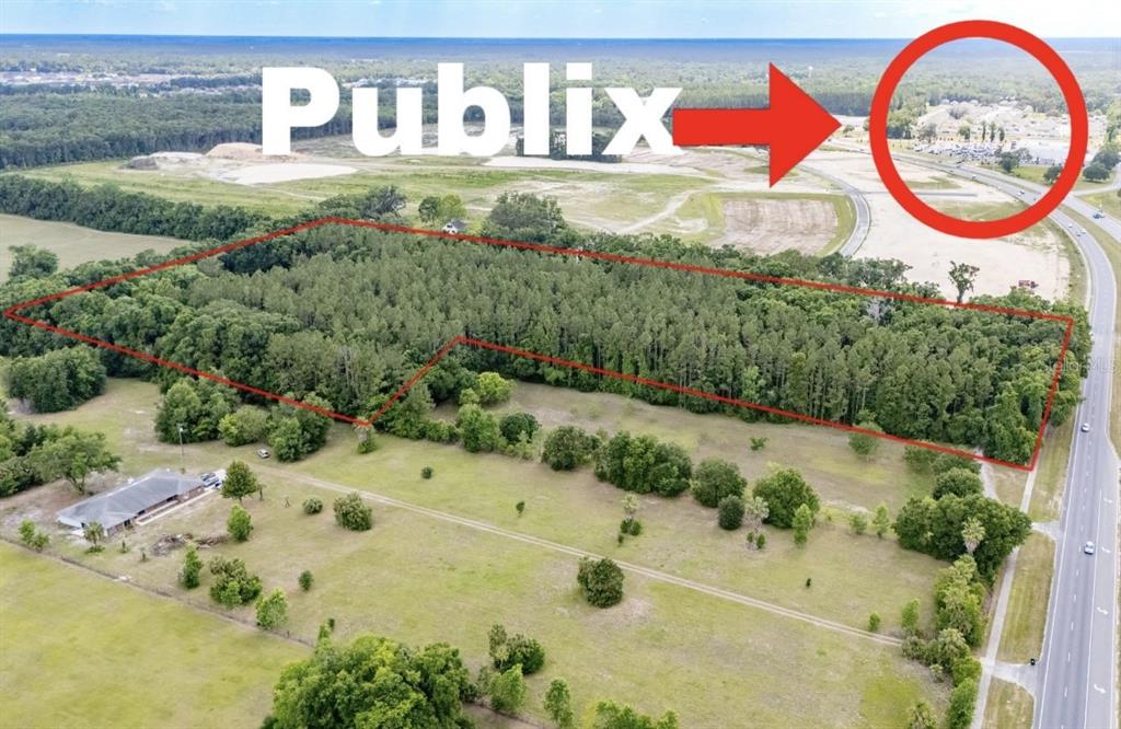 An aerial view shows a large, wooded plot of land outlined in red near a Publix — 23227 W NEWBERRY ROAD, NEWBERRY, FL