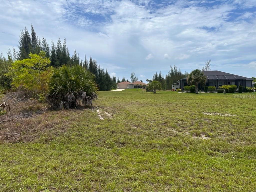 A grassy, undeveloped lot features a large palm tree and distant houses under a sky — 9243 LINGLE STREET, PORT CHARLOTTE, FL