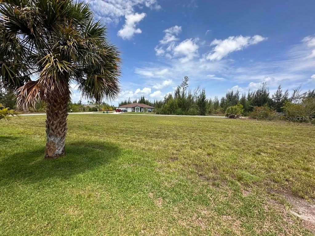 A grassy vacant lot features a palm tree in the foreground and a house nearby — 9243 LINGLE STREET, PORT CHARLOTTE, FL