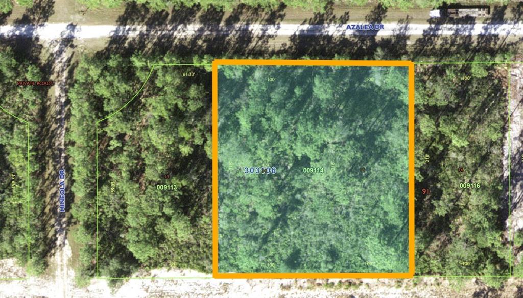 An aerial map shows a rectangular, wooded plot of land highlighted in orange — 421 AZALEA DRIVE, INDIAN LAKE ESTATES, FL