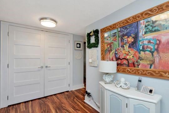 A hallway features double white doors, wood-look flooring, a console table, and a large painting — 220 BELLEVIEW BOULEVARD UNIT 203, BELLEAIR, FL