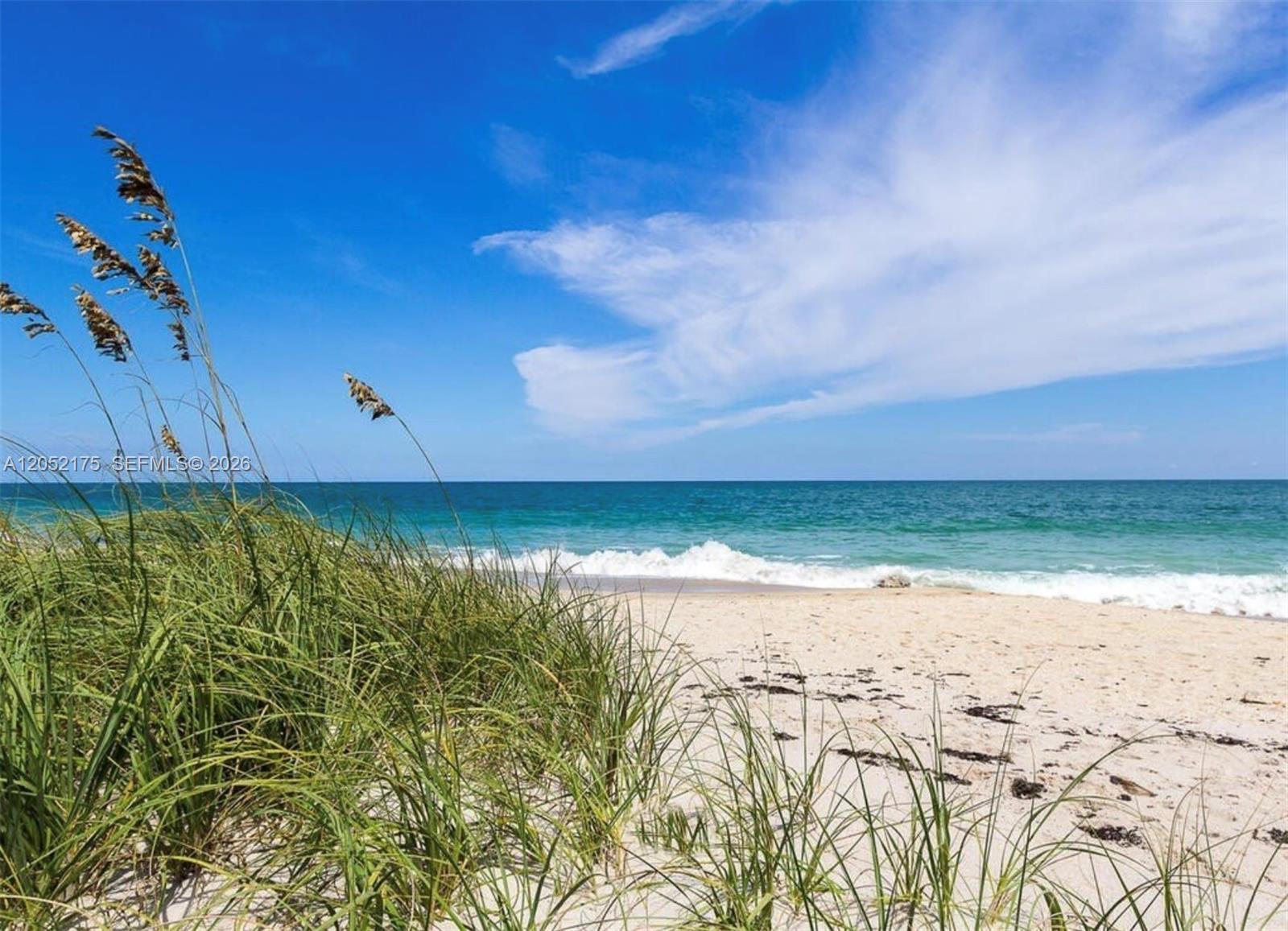 A view of a sandy beach with tall dune grass and the ocean — VERO BEACH, FL