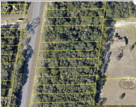 An aerial map view shows a row of wooded rectangular land parcels along a road — 8086 TREIMAN BLVD BOULEVARD, WEBSTER, FL