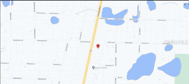 This is a map showing a red location pin along Treiman Boulevard — 8086 TREIMAN BLVD BOULEVARD, WEBSTER, FL