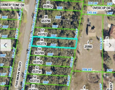 This is a map showing a rectangular parcel of land highlighted in blue — 8086 TREIMAN BLVD BOULEVARD, WEBSTER, FL