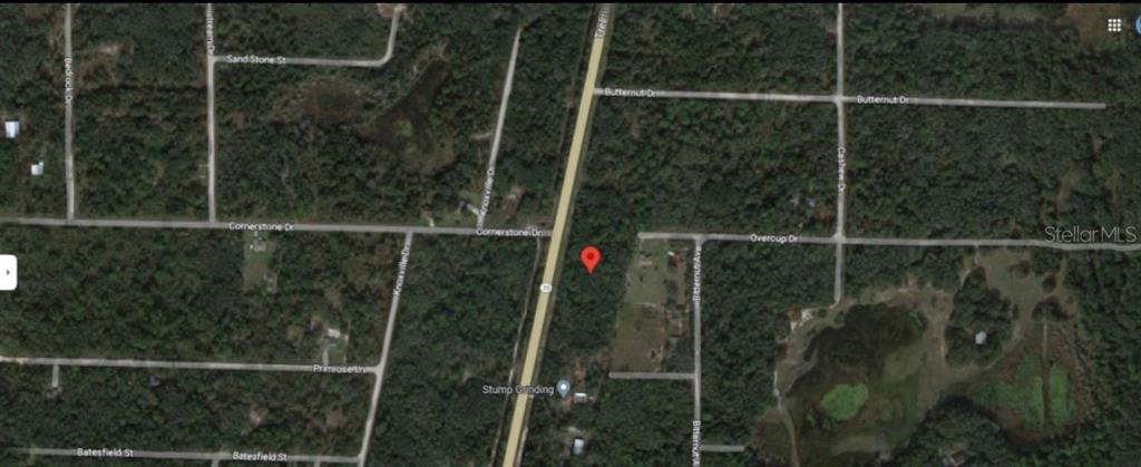 This is a satellite map view showing a wooded lot marked with a red pin — 8086 TREIMAN BLVD BOULEVARD, WEBSTER, FL