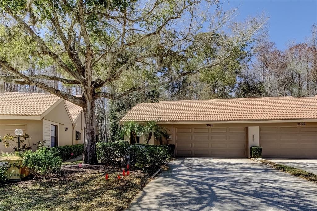 3020 WINDMOOR DRIVE