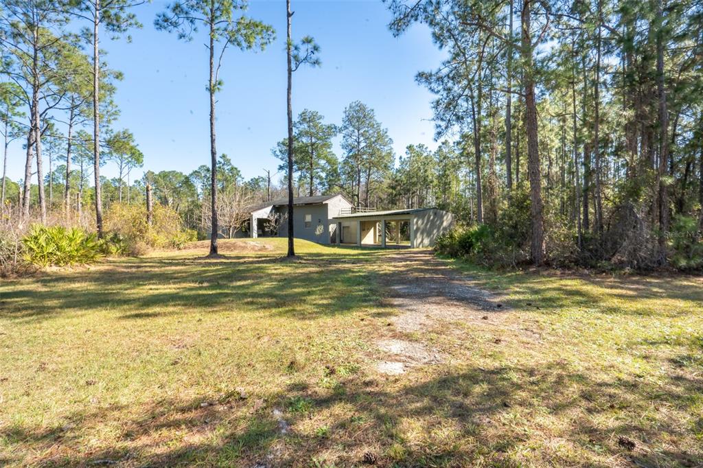A single-story house with an attached carport sits in a clearing surrounded by pine trees — 10411 COUNTY ROAD 474, CLERMONT, FL