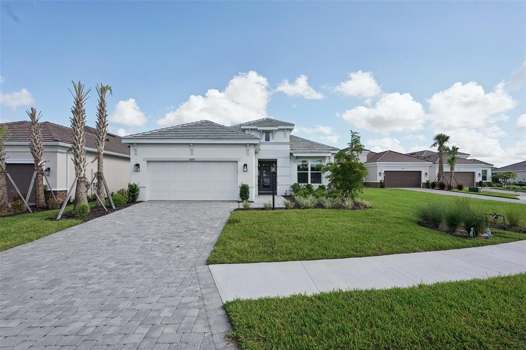 A single-story house with a white exterior, a paved driveway, and a manicured front lawn — 16415 ISOLA PLACE, LAKEWOOD RANCH, FL