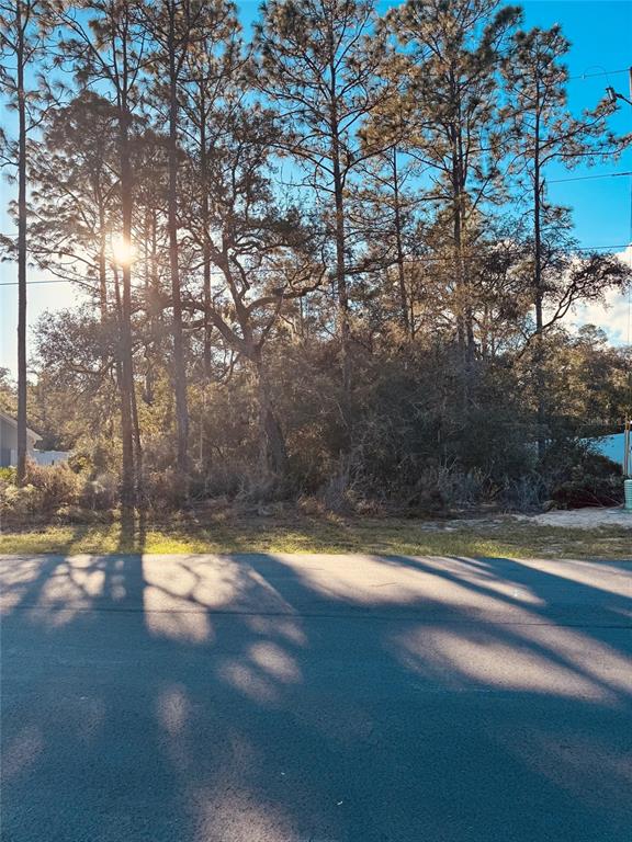 A vacant, wooded residential lot is viewed from the adjacent paved street — 0 SW 69TH COURT RD, OCALA, FL