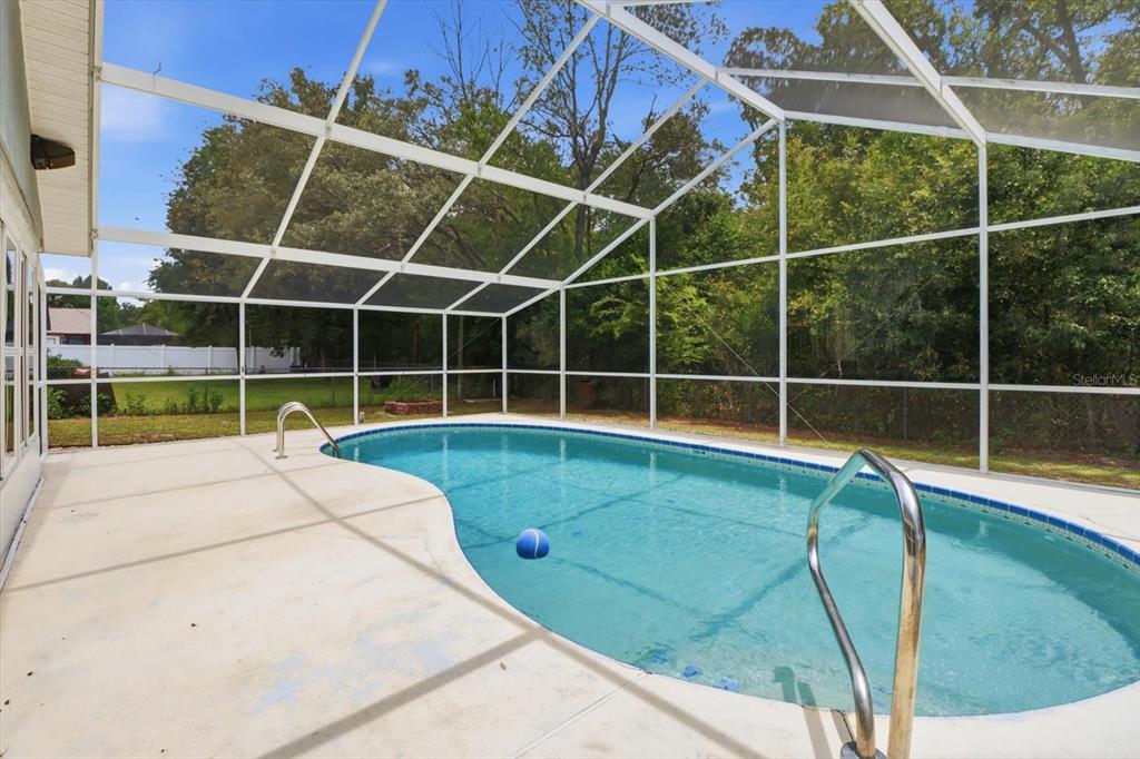 A swimming pool with a blue ball sits inside a screened-in patio enclosure — 4179 S WINDING OAKS DRIVE, HOMOSASSA, FL