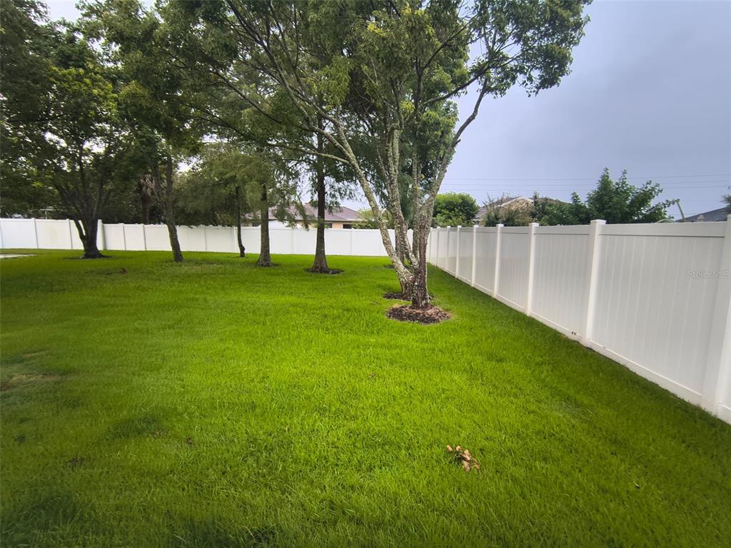 A grassy backyard features several mature trees and a tall white vinyl privacy fence — 24 FELWOOD LANE, PALM COAST, FL