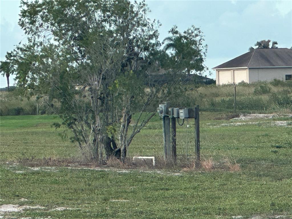 A utility pedestal with electrical meters stands in a grassy, undeveloped lot near a tree — 529 SUNSET POINTE DRIVE, LAKE PLACID, FL