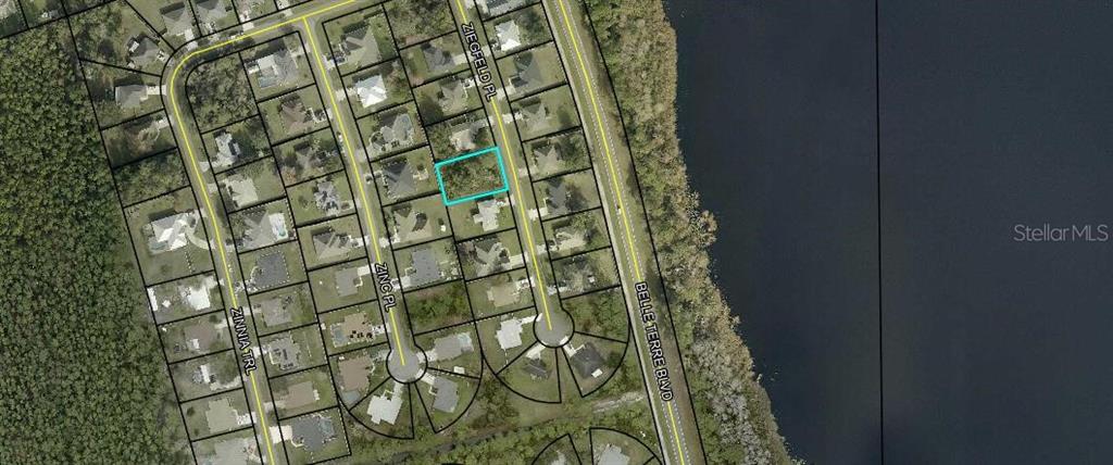 This is an aerial map showing a vacant residential lot highlighted in blue — 10 ZIEGFELD PLACE, PALM COAST, FL