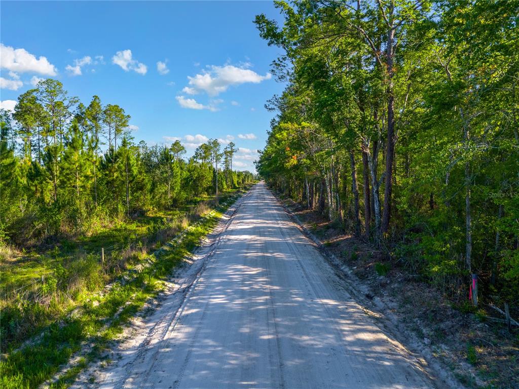 A dirt road stretches into the distance, flanked by dense green trees and vegetation — SW 126TH AVE, LAKE BUTLER, LAKE BUTLER, FL