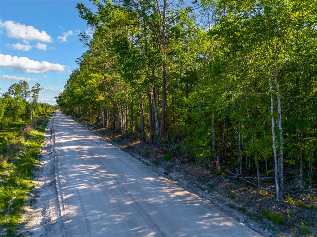 A dirt road runs alongside a dense forest under a blue sky with scattered clouds — SW 126TH AVE, LAKE BUTLER, LAKE BUTLER, FL