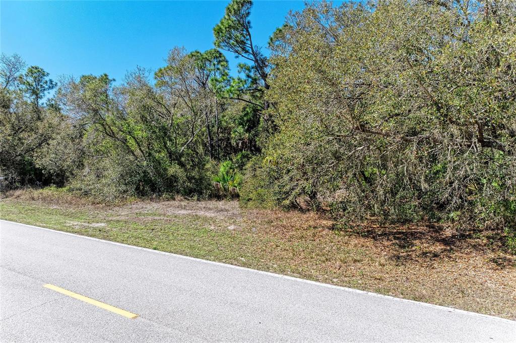 A paved road runs alongside a wooded lot with dense trees and vegetation — 3059 COMO STREET, PORT CHARLOTTE, FL