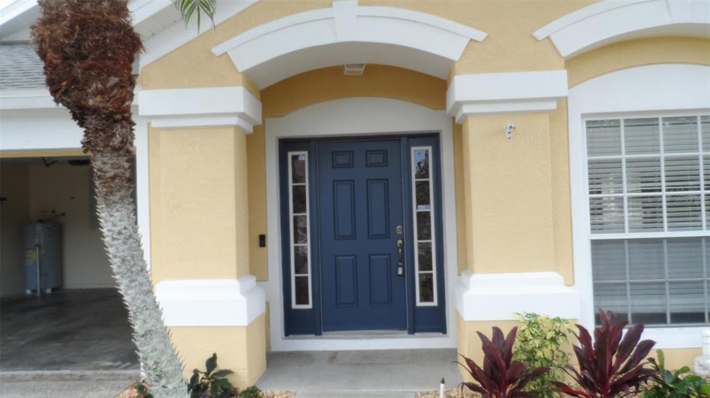 The exterior of a house features a blue front door with sidelights and a palm tree — 30709 LANESBOROUGH CIRCLE, WESLEY CHAPEL, FL