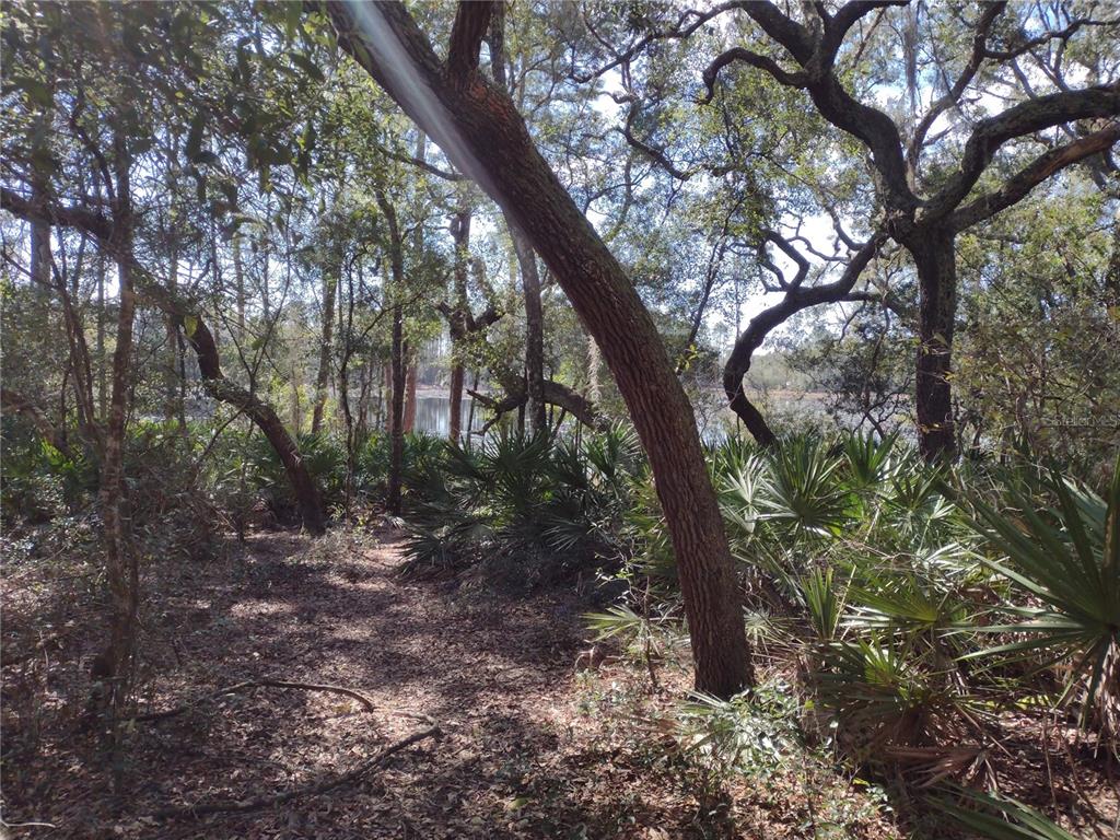 89 TUCKER LAKE ROAD