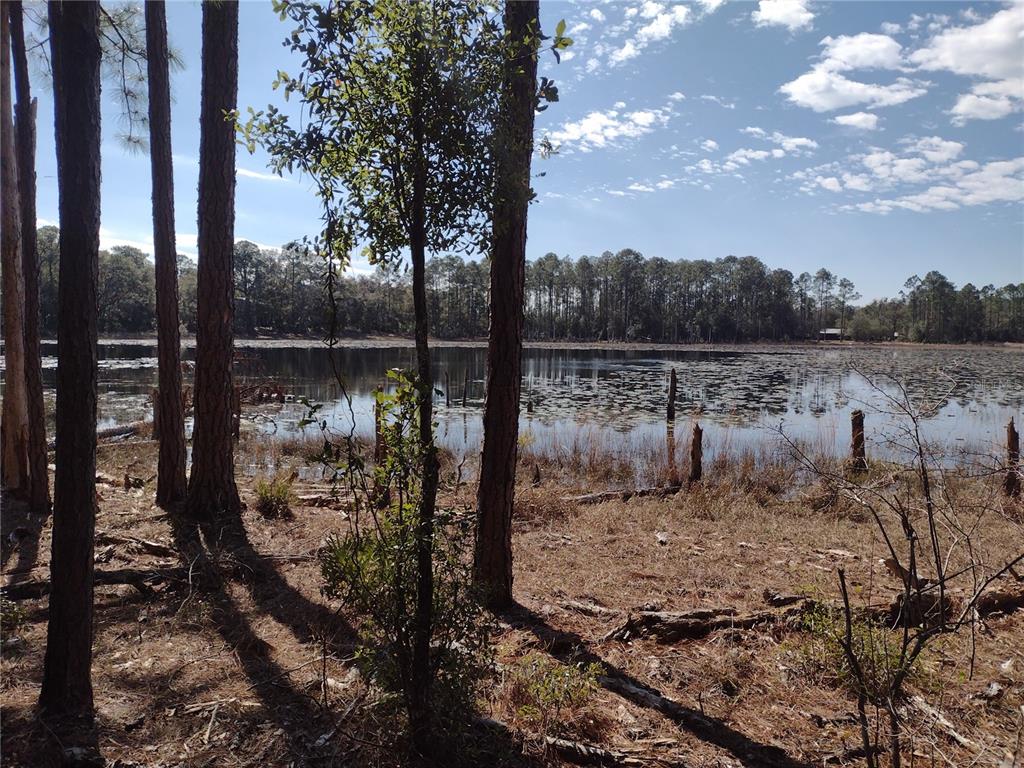 89 TUCKER LAKE ROAD, MELROSE, FL — photo 2 of 6