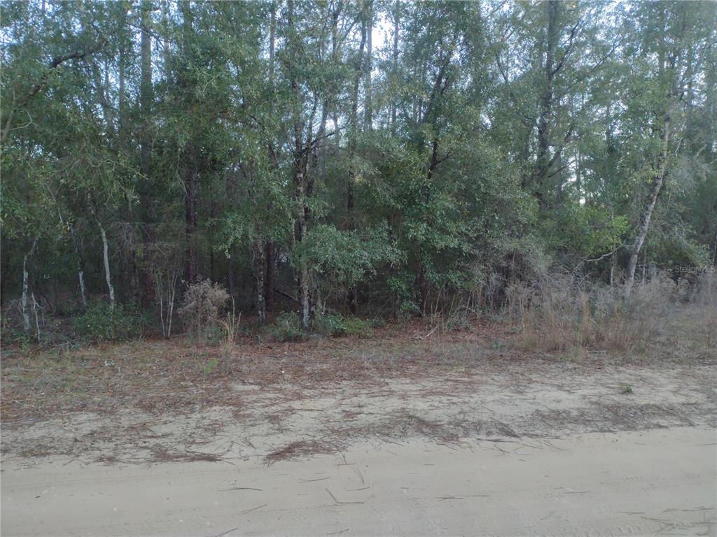 89 TUCKER LAKE ROAD, MELROSE, FL — photo 3 of 6