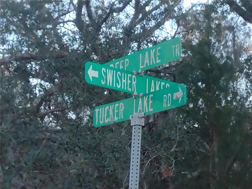89 TUCKER LAKE ROAD, MELROSE, FL — photo 4 of 6