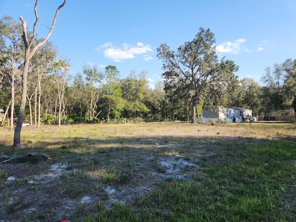 A large, grassy, undeveloped lot features scattered trees and a house in the background — LOT 19 NW 119 TH COURT, OCALA, FL