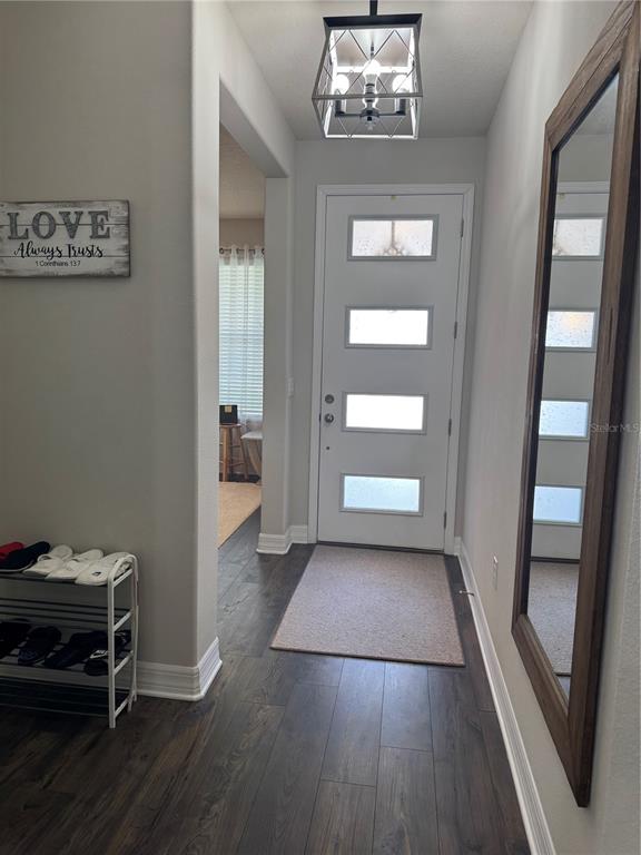 An entryway features a white front door with glass panels, wood flooring, and a mirror — 2514 NOUVEAU WAY, KISSIMMEE, FL
