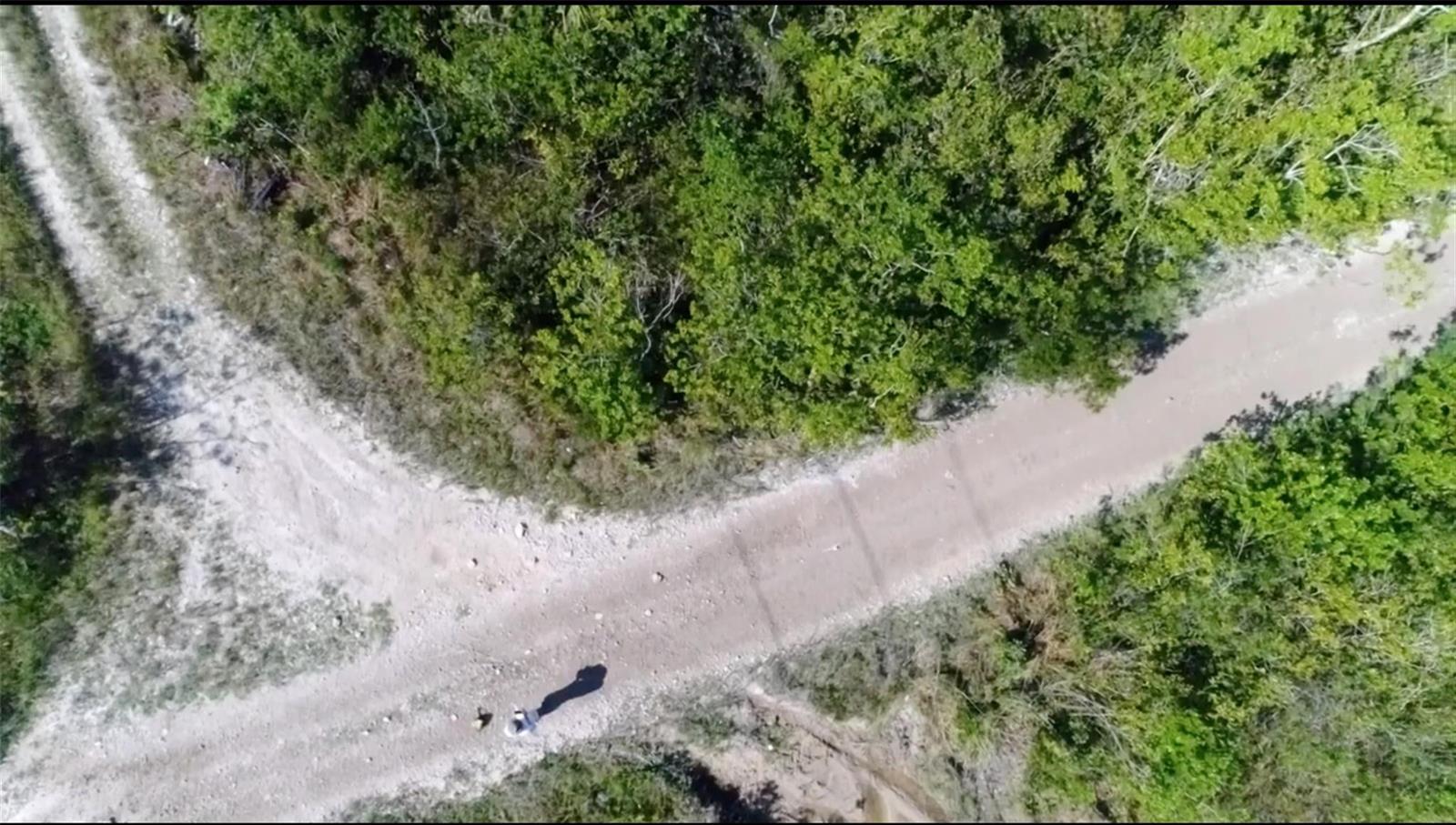 An aerial view shows a dirt road curving through a wooded area — 0 Unknown, Florida City FL 33035, FLORIDA CITY, FL