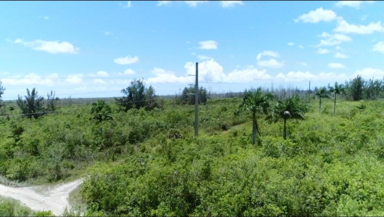 An aerial view of a flat, brush-covered lot with palm trees and a utility pole — 0 Unknown, Florida City FL 33035, FLORIDA CITY, FL