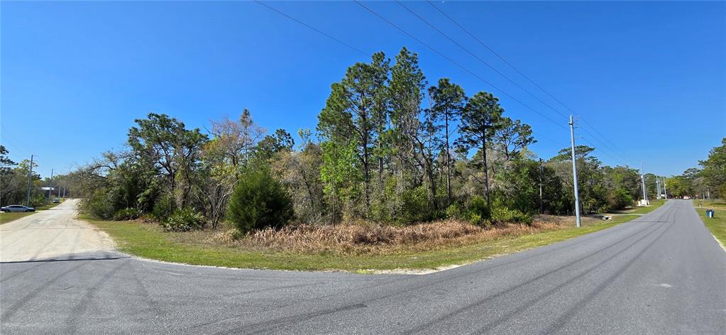 A corner lot with trees and brush sits between two paved roads under a clear sky — 12398 RUFFED GROUSE ROAD, WEEKI WACHEE, FL