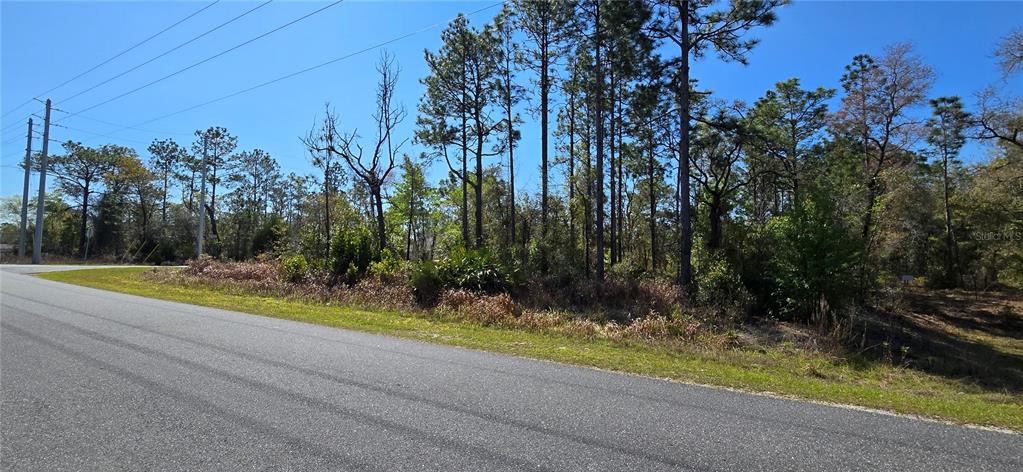 A paved road runs alongside a wooded lot with tall pine trees under a clear sky — 12398 RUFFED GROUSE ROAD, WEEKI WACHEE, FL