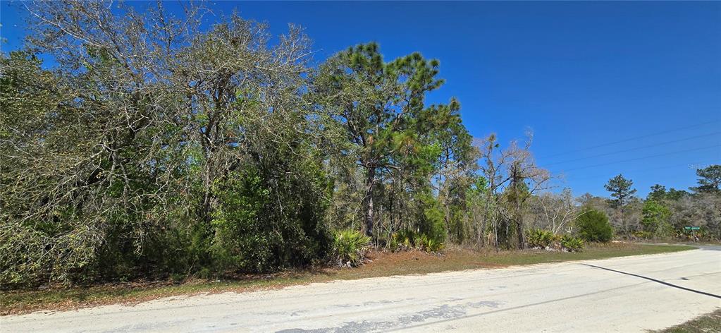 A dirt road runs alongside a wooded lot with various trees and low-lying vegetation — 12398 RUFFED GROUSE ROAD, WEEKI WACHEE, FL