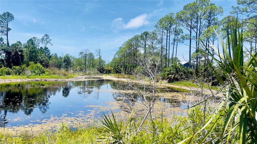 A small pond sits in the foreground of a wooded lot with tall pine trees — TBD SW 101ST LN, CEDAR KEY, FL