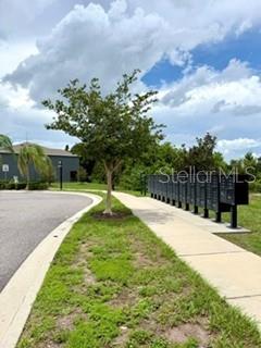 A sidewalk leads to a row of black metal mailboxes next to a small tree — 8771 FALLING BLUE PLACE, RIVERVIEW, FL