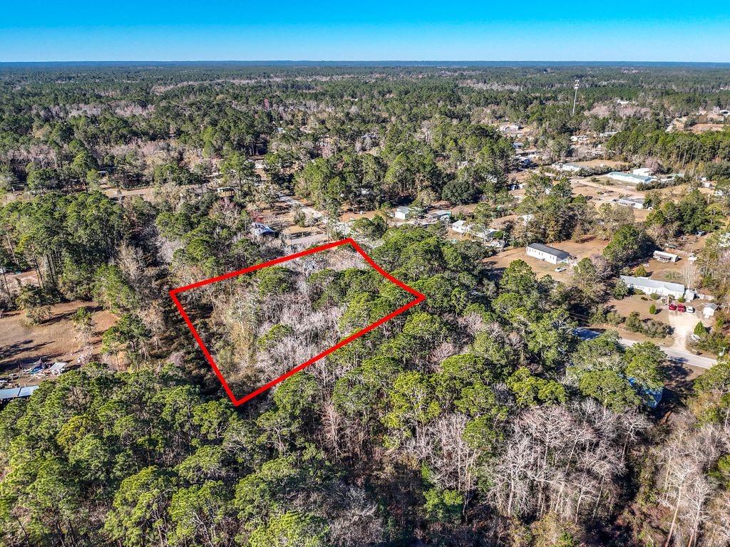 An aerial view shows a rectangular plot of land outlined in red amidst a forest — 2223 COSMOS AVENUE, MIDDLEBURG, FL
