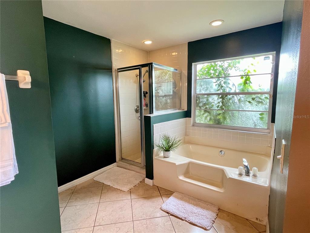 A bathroom features a glass-enclosed shower, a built-in soaking tub, and dark green walls — 1150 INDIAN RIDGE TRAIL E, KISSIMMEE, FL