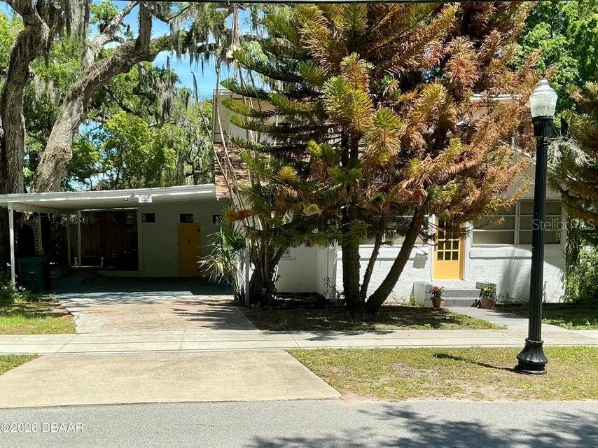 A white house with a carport and a large pine tree stands behind a sidewalk — 711 S PALMETTO AVENUE, DAYTONA BEACH, FL